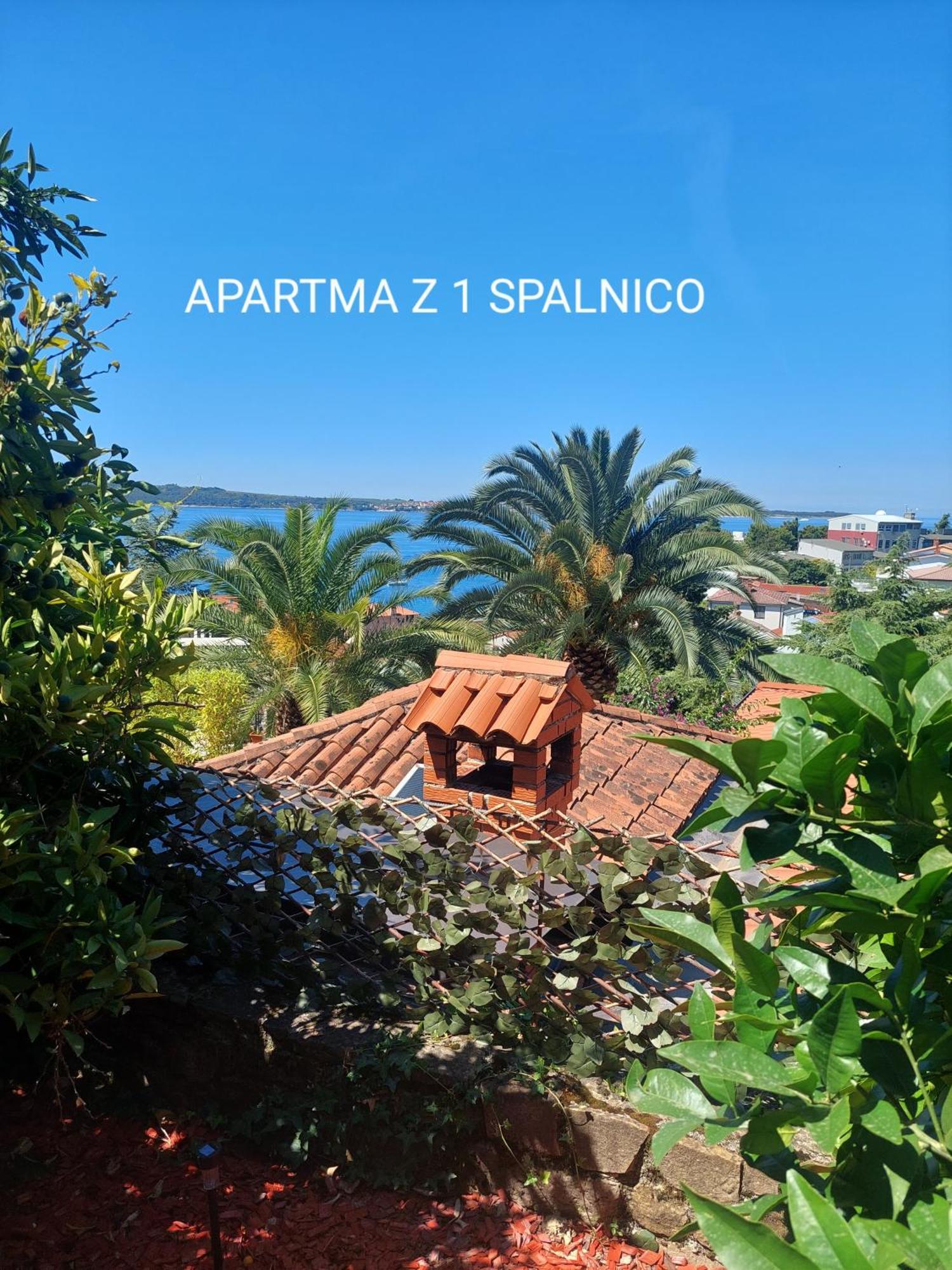 בפורטורוז Apartma Ursa מראה חיצוני תמונה